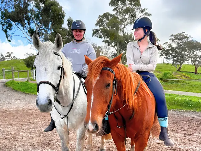 Shania and Toni wearing helmets on a white horse and a chestnut horse.