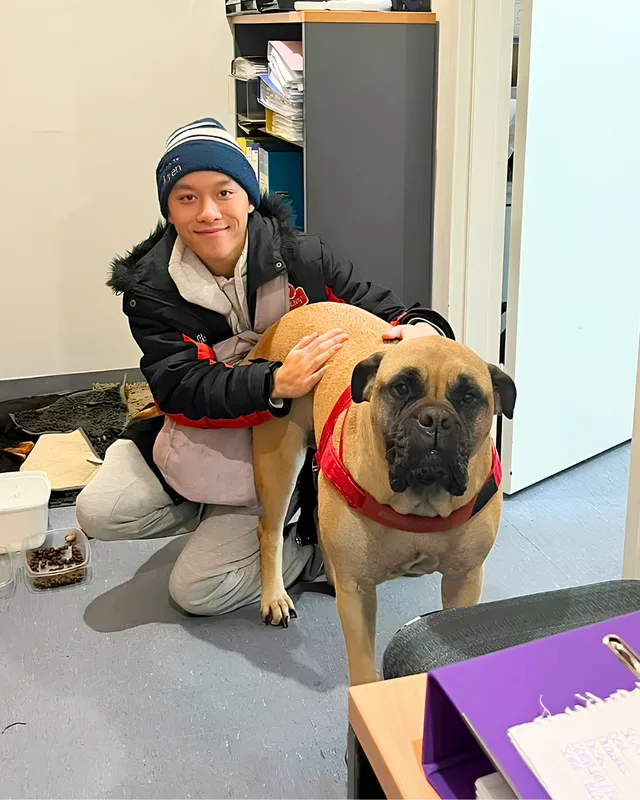Justin smiling beside Willow, a large tan dog wearing a red harness.